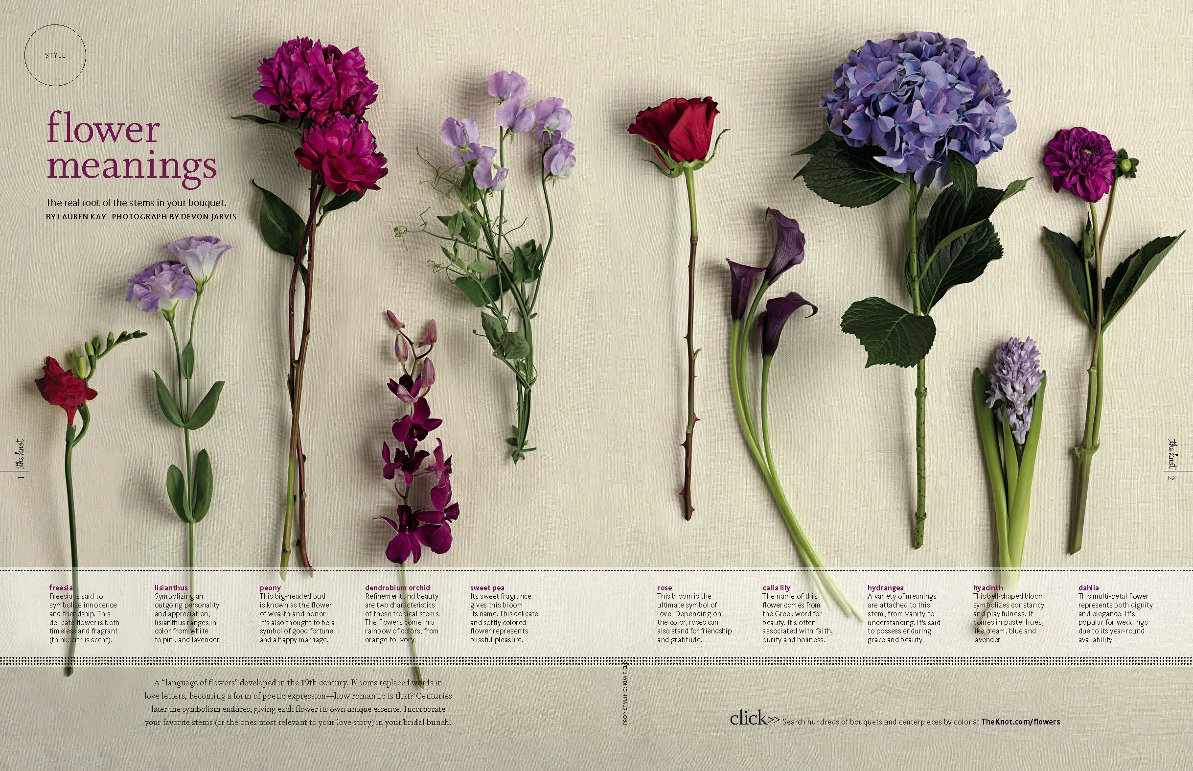 theknot_Page_07.jpg