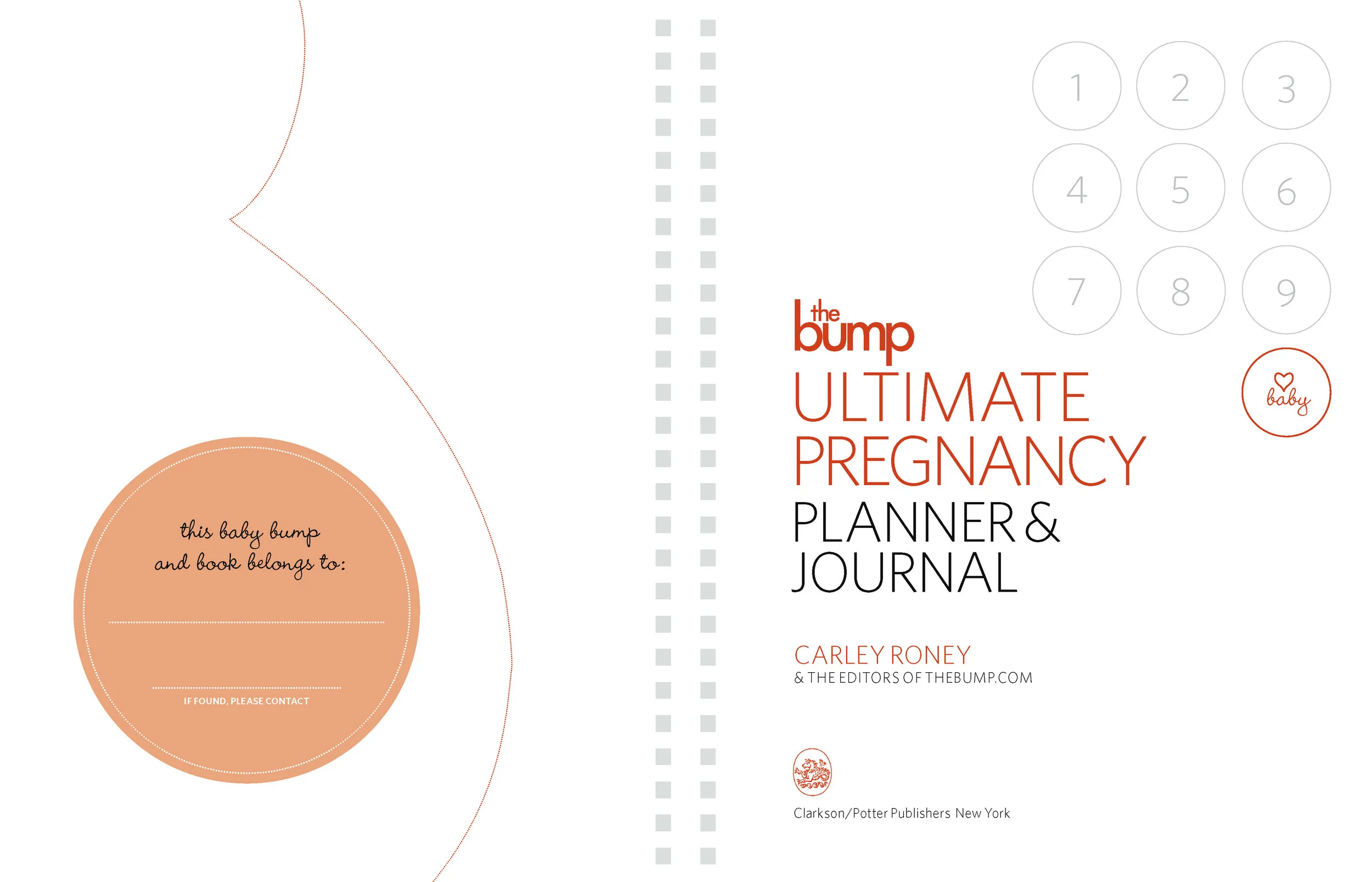TheBumpBinder_Revisions_Page_01.jpg