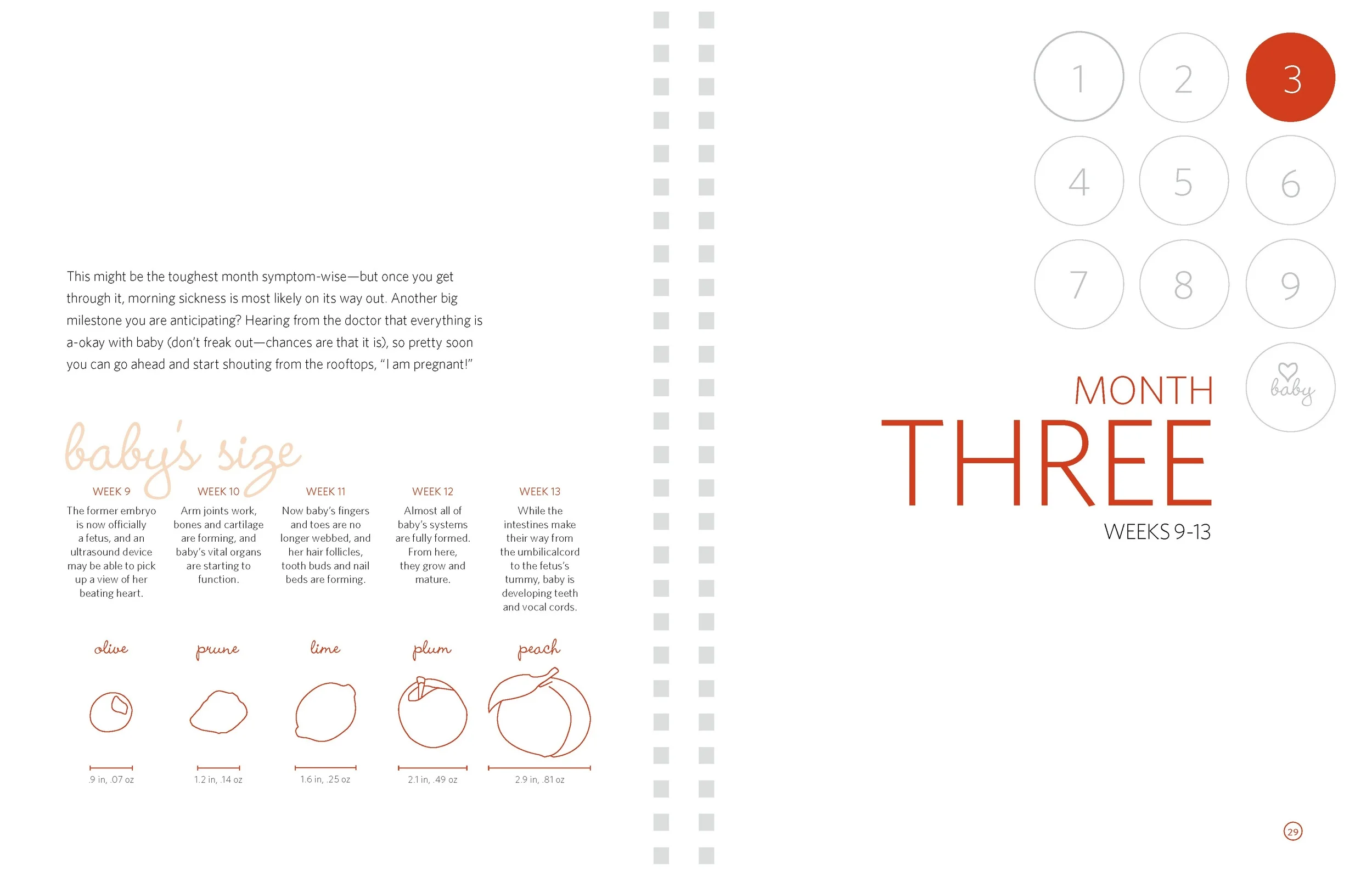 TheBumpBinder_Revisions_Page_05 mdo.jpg