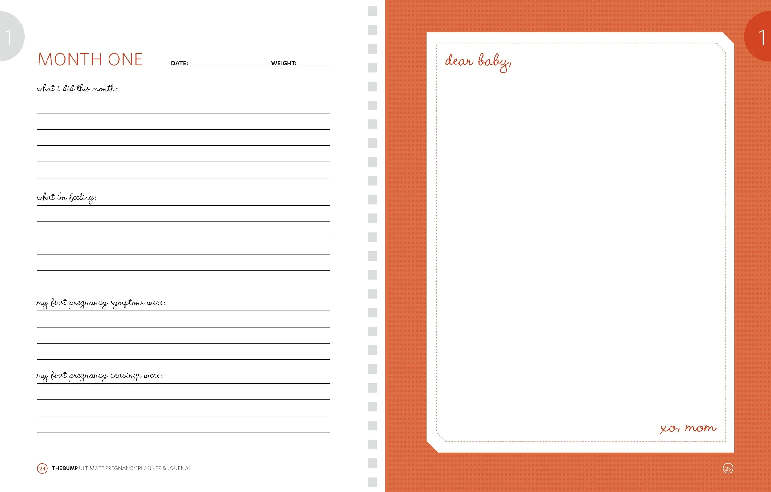 TheBumpBinder_Revisions_Page_07 mdo.jpg