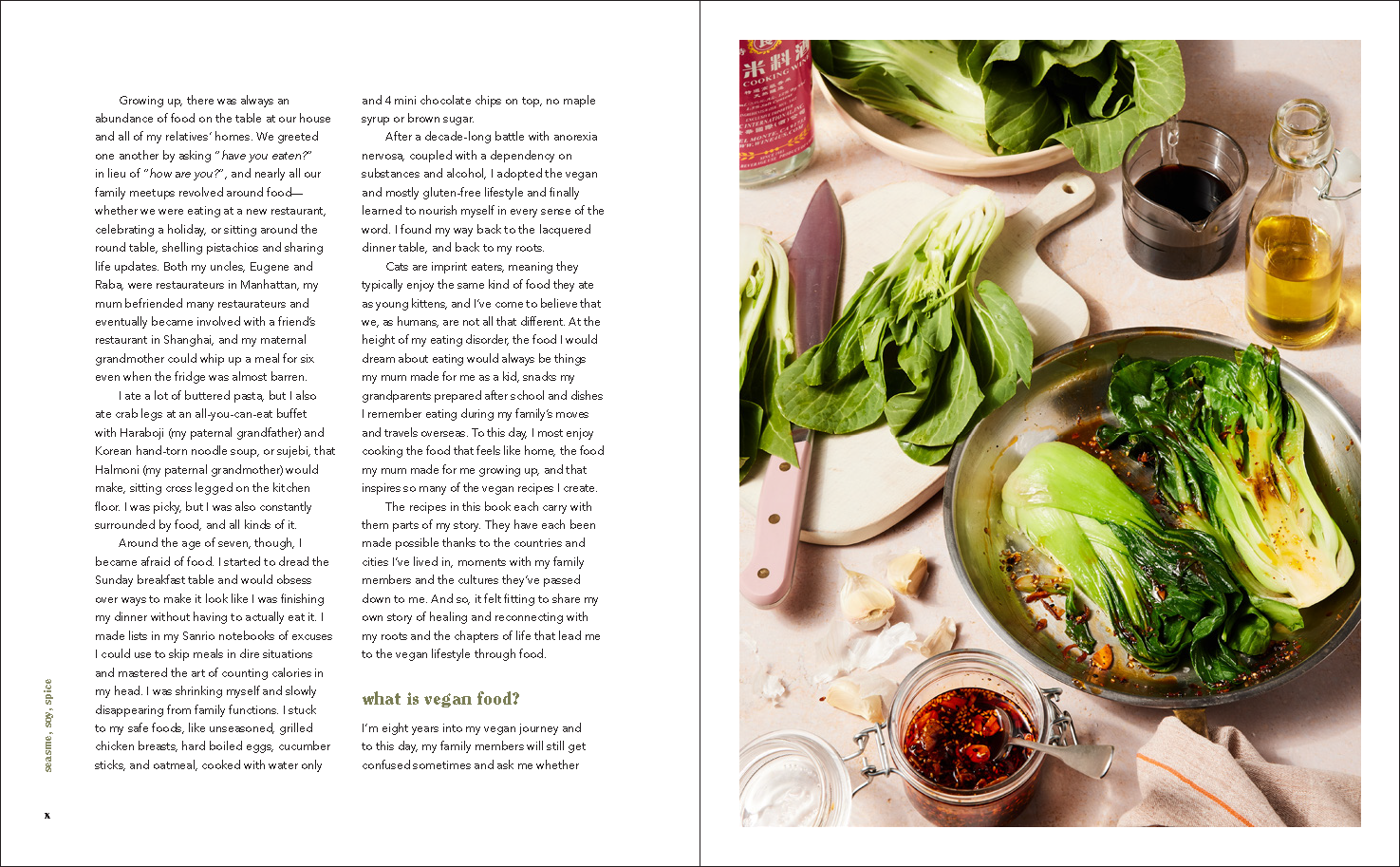 Sesame, Soy, Spice_Design Samples_9780063311022_Page_06.png