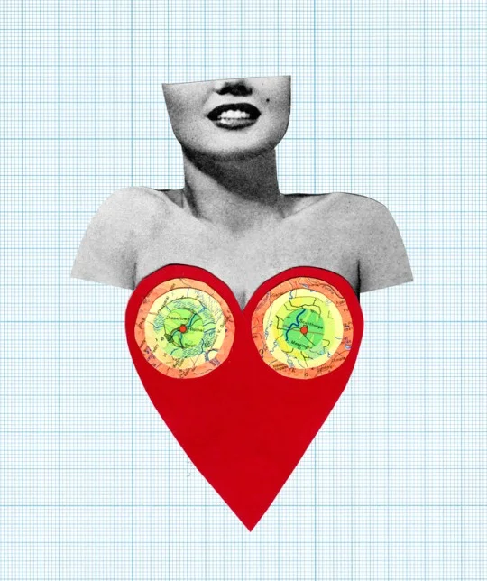 Boobs: An Owner's Guide