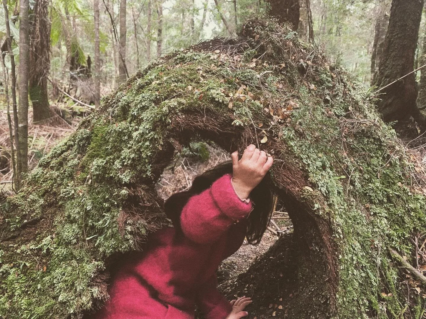 TAKAYNA
. 
moss tunnels and fern tracks
the thread of attachment tugs as she wanders
waters course through rivers and sinkholes
fishing in nonas shrunken jackets
trust me it&rsquo;s not grass
forest unprotected
leaf haircuts 
and glue it back togethe