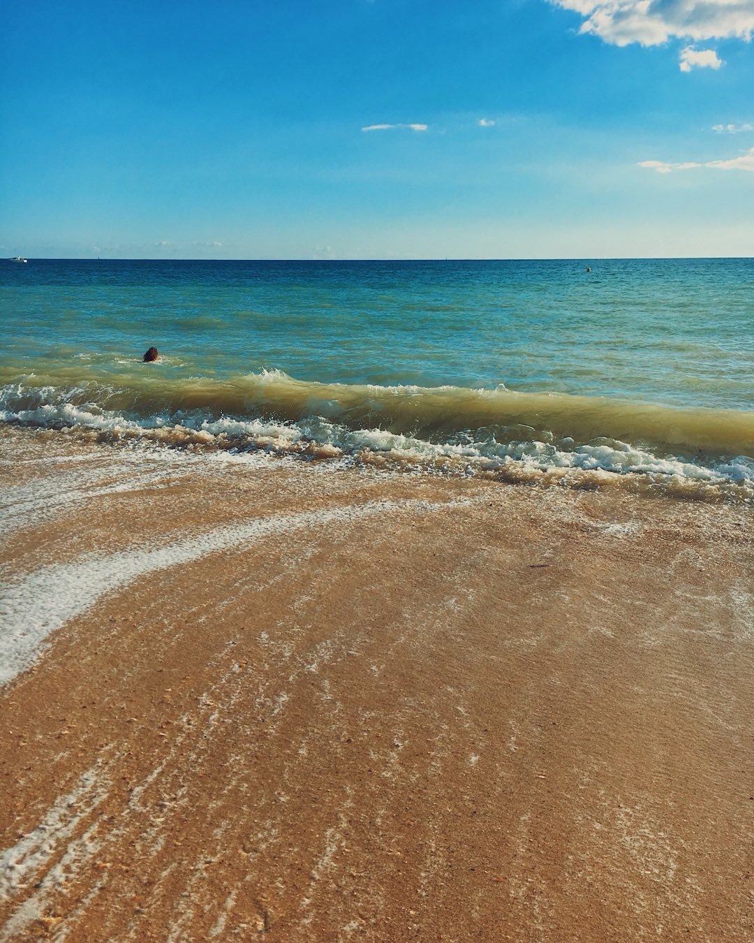 I go down to the shore in the morning
and depending on the hour the waves
are rolling in or moving out,
and I say, oh, I am miserable,
what shall&mdash;
what should I do? And the sea says
in its lovely voice:
Excuse me, I have work to do.

~ Mary Oli