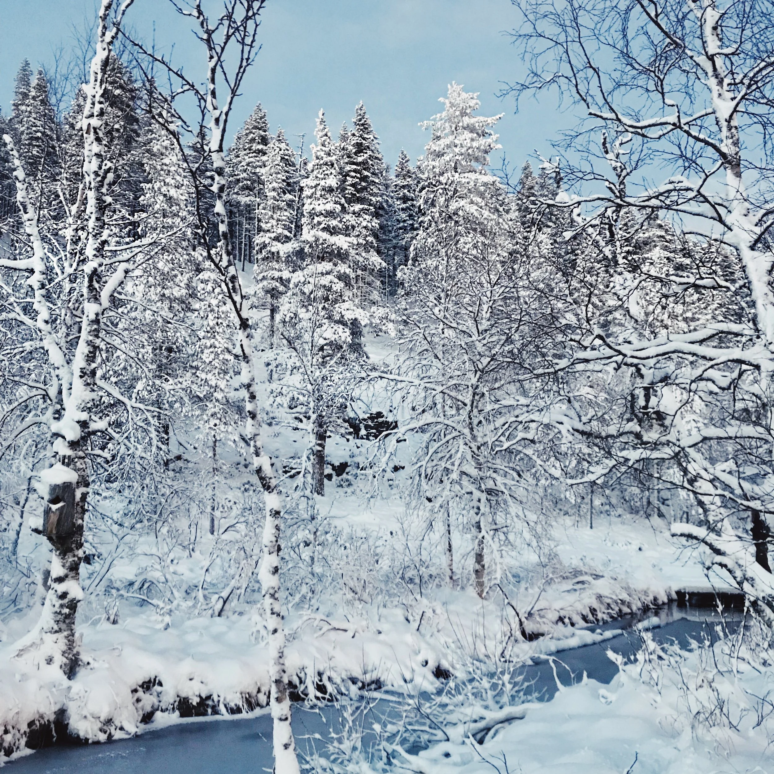 mrlukechristianlapland.jpg