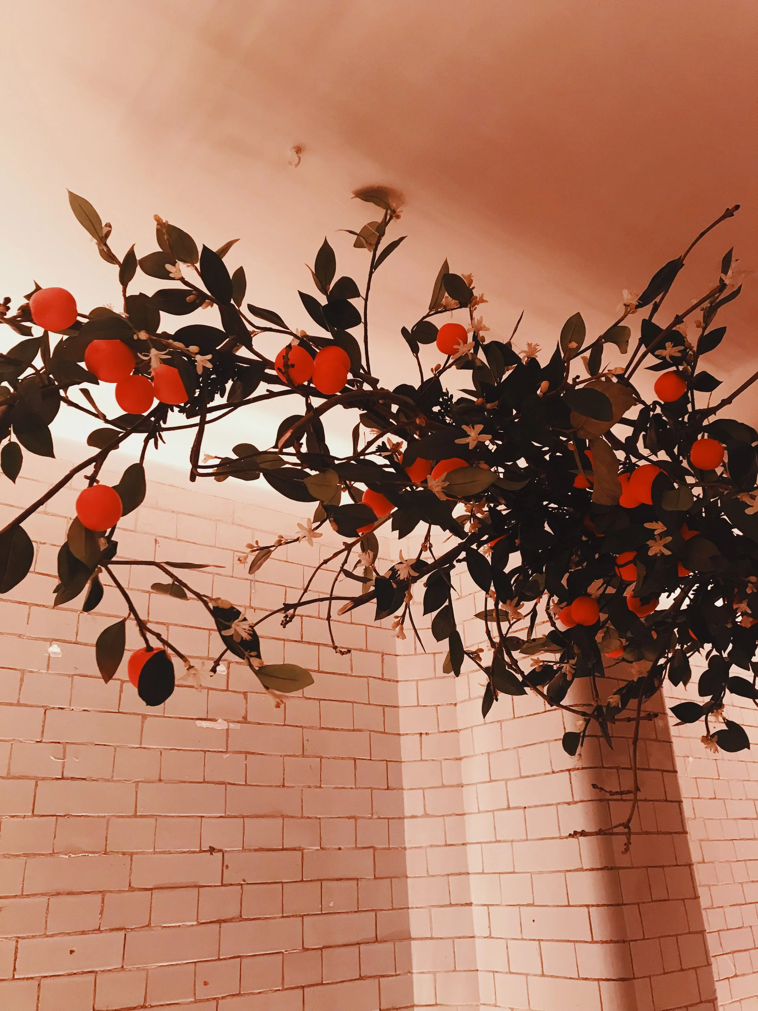 jomaloneblossomscollection.jpg