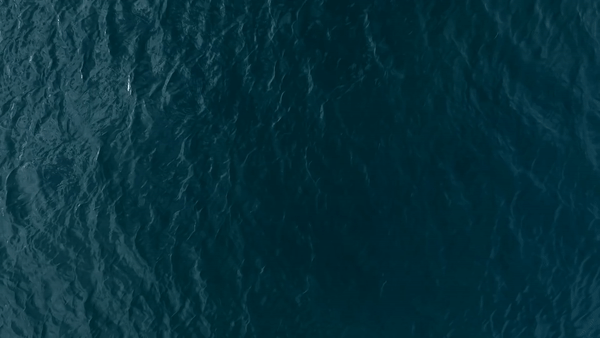 ezgif.com-video-to-gif (1).gif