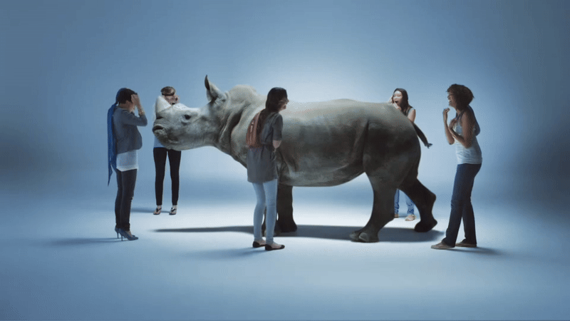 Bayer.gif