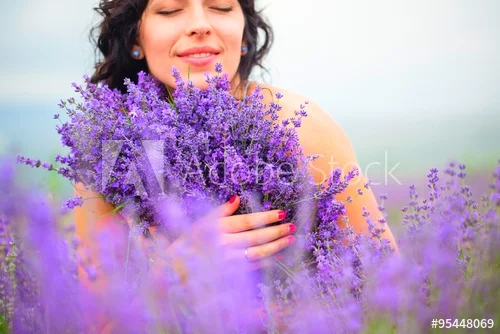 500_F_95448069_KVUeQXOhsOkRA66E6m9U3Ht8GbH4SVsd.jpg