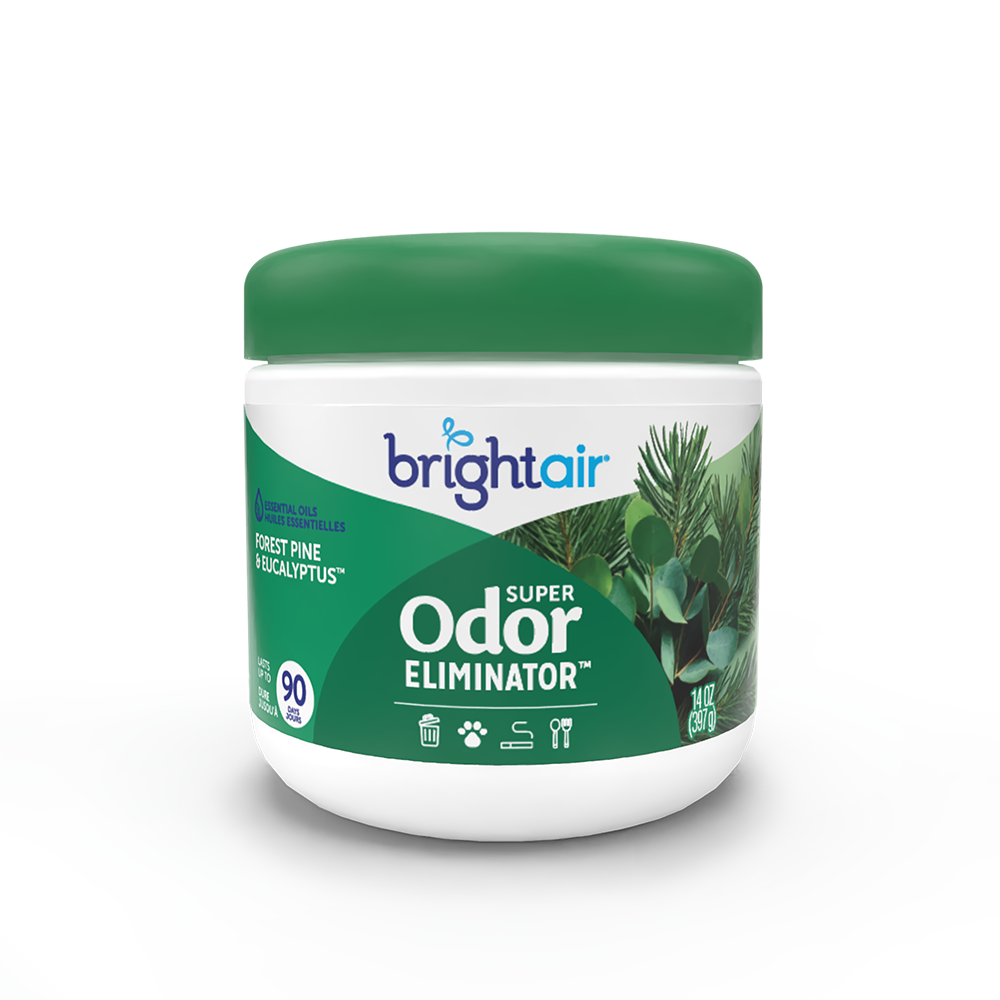 Forest Pine & Eucalyptus™