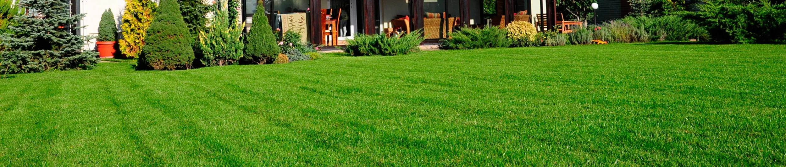 Residential-Lawn-21.jpg