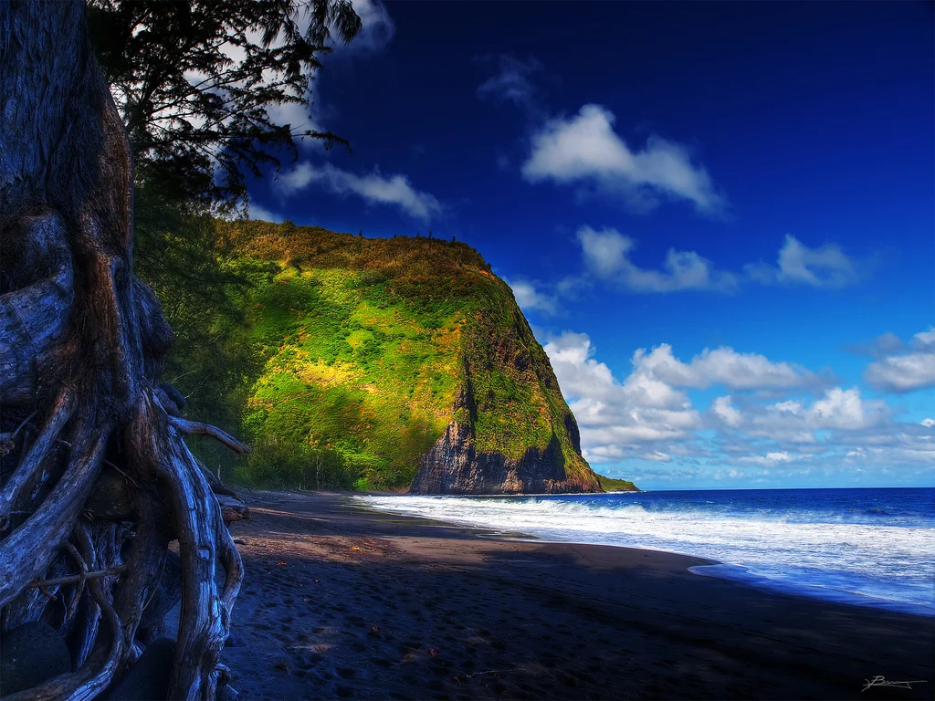 Blending EFT with Powerful Forgiveness Practice Ho'oponopono