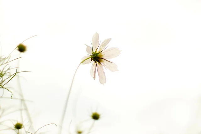 Protecting Your Energy for Highly Sensitive People