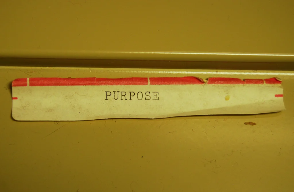 Excited and Energised in Work: Your Passion & Purpose