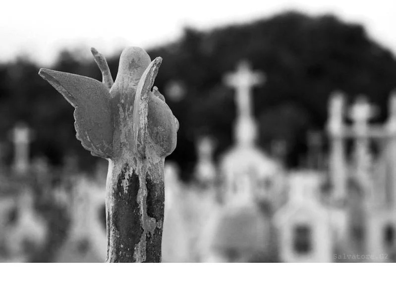 The Spiritual Comfort of Angels During Grief and Loss