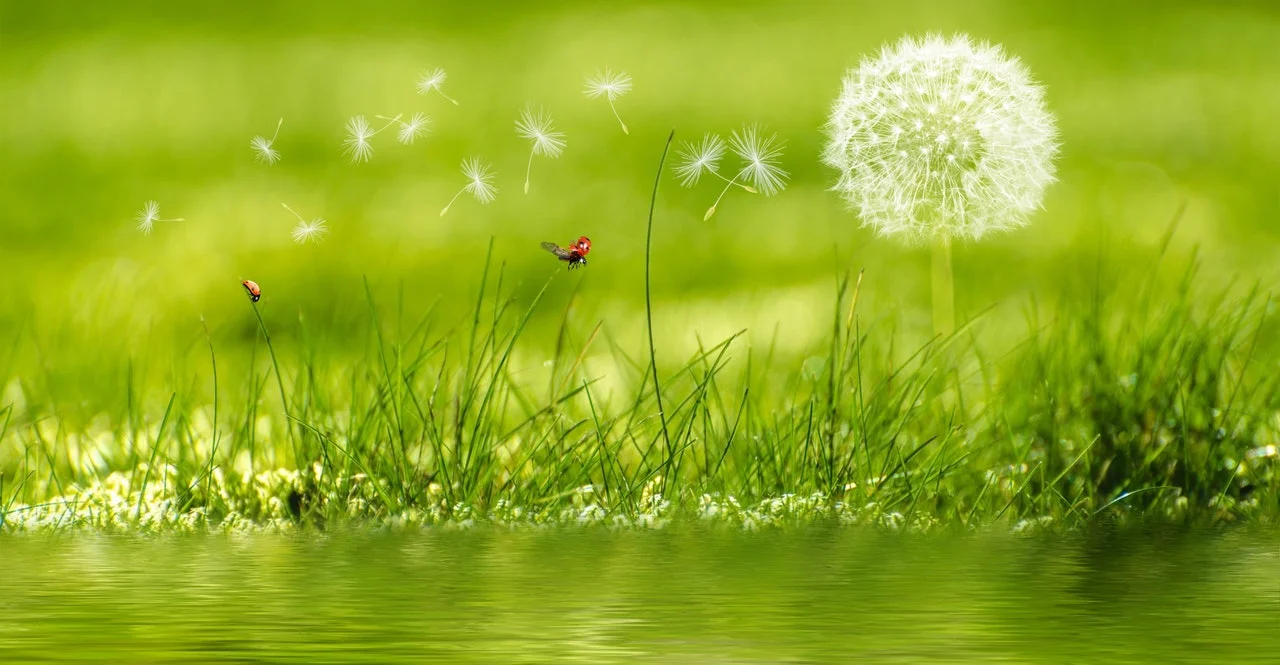 What Energies Might Emerge In Kinesiology And Energy Therapies?
