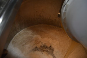 Rice syrup going into the kettle. Using adjuncts like rice syrup in this style of beer allows for high abv with light body.