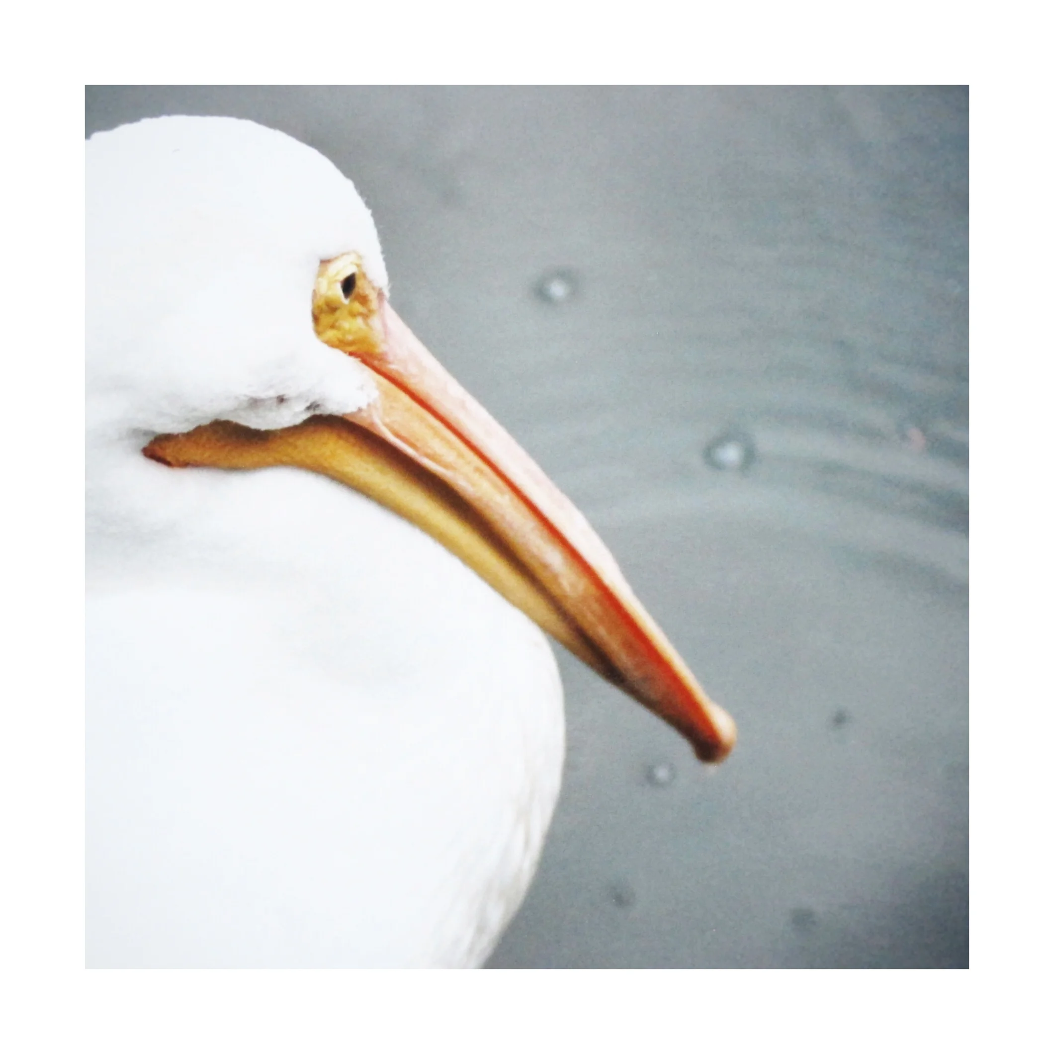 tempImageForSave 3.JPG