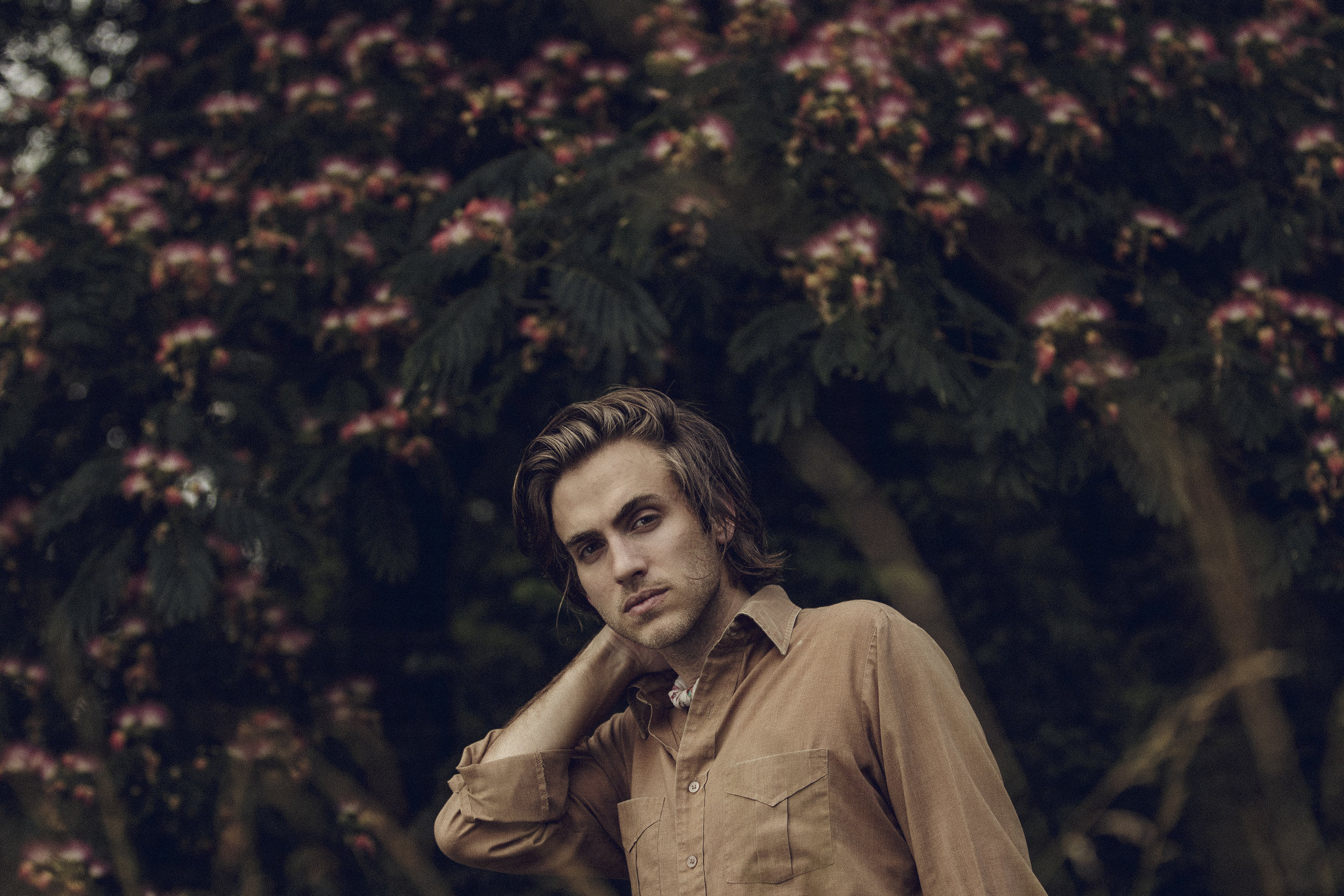 Credit: Andrew White Download 300 DPI JPG