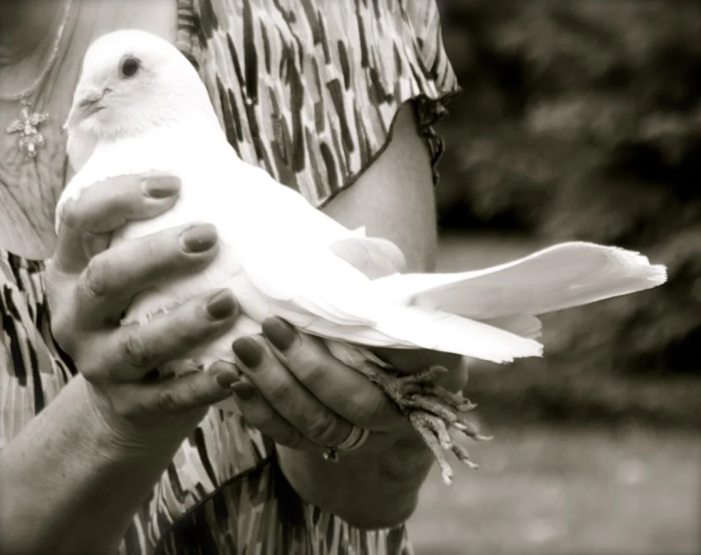 Before releasing the doves, the dove-lady walked around the circle of guests and invited each of us to touch one of them and say goodbye to Chloe.