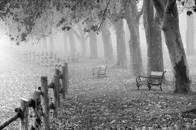 Autumn in a park. Photo from pixabay.com CC0