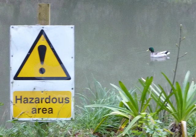 Hazardous area, by Terry Freedman