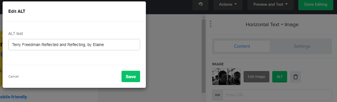 Editing Alt text in Mailerlite, by Terry Freedman