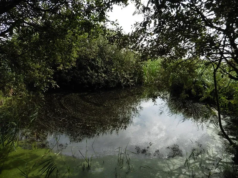 Rainham Marshes, by Terry Freedman