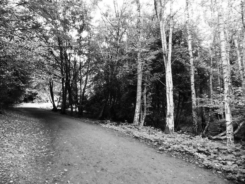 remembering things past, by Terry Freedman