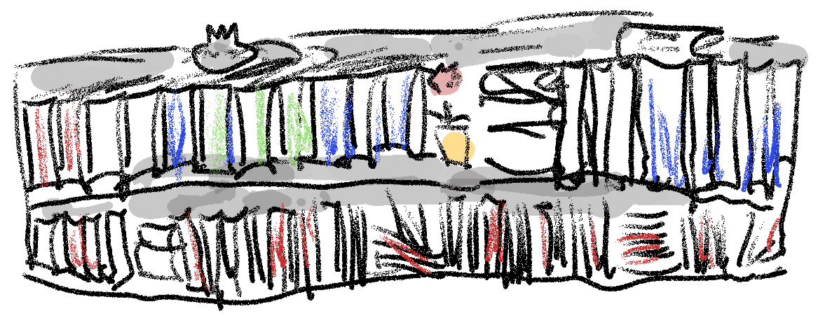 Bookshelves with cat -- Terry Freedman