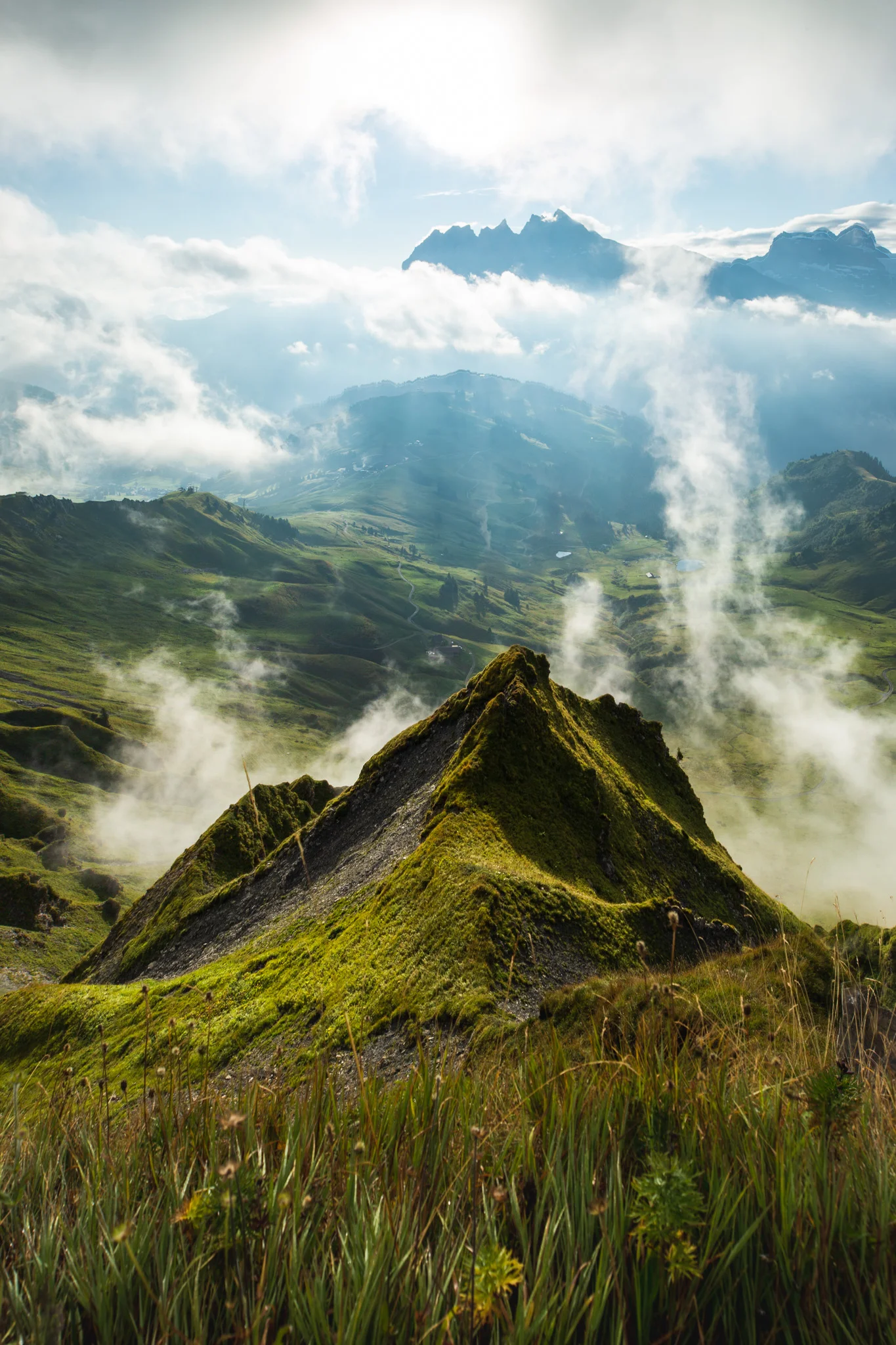 1B6A0188-HDR.jpg