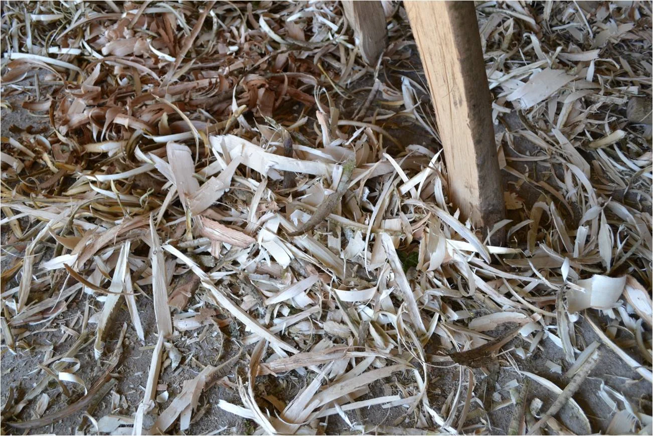 Picture11.jpg