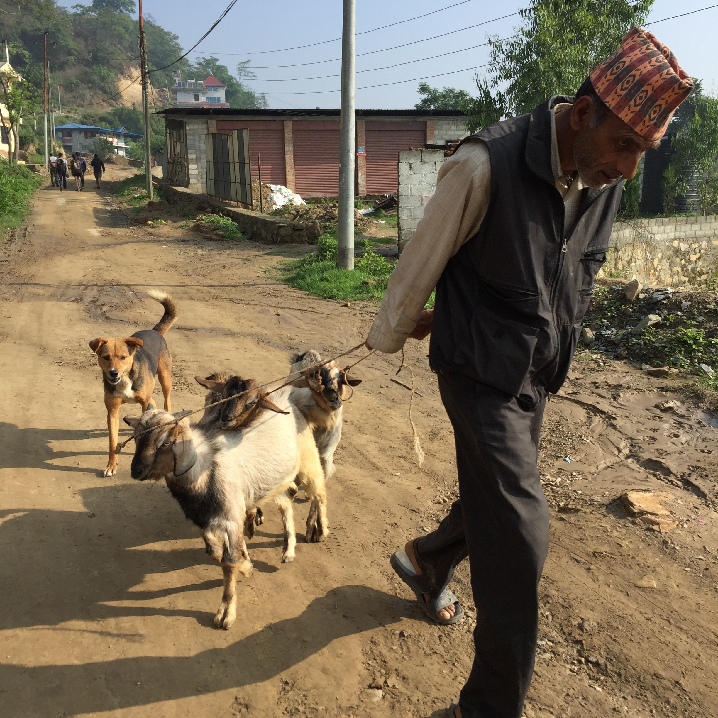 goat farmer.jpg