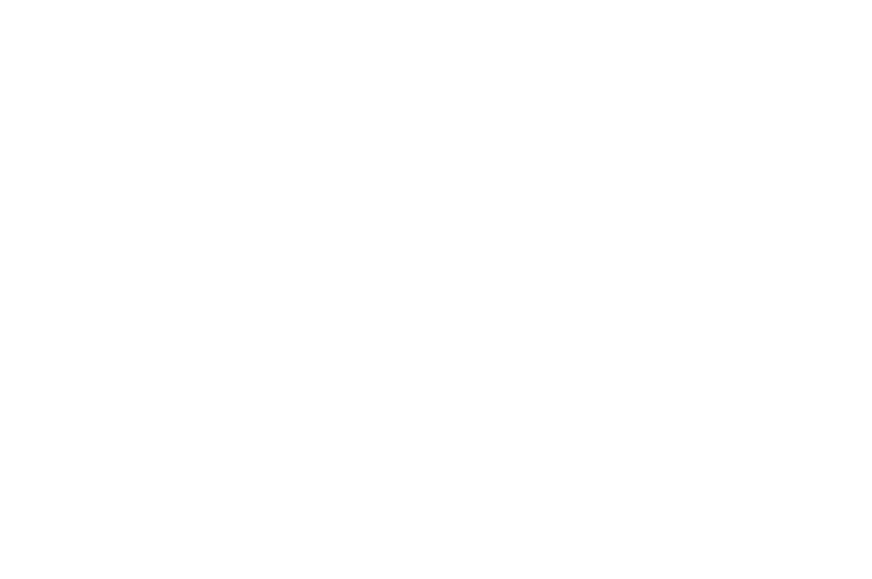 Ballston Spa International Film Festival - 2017-White.png