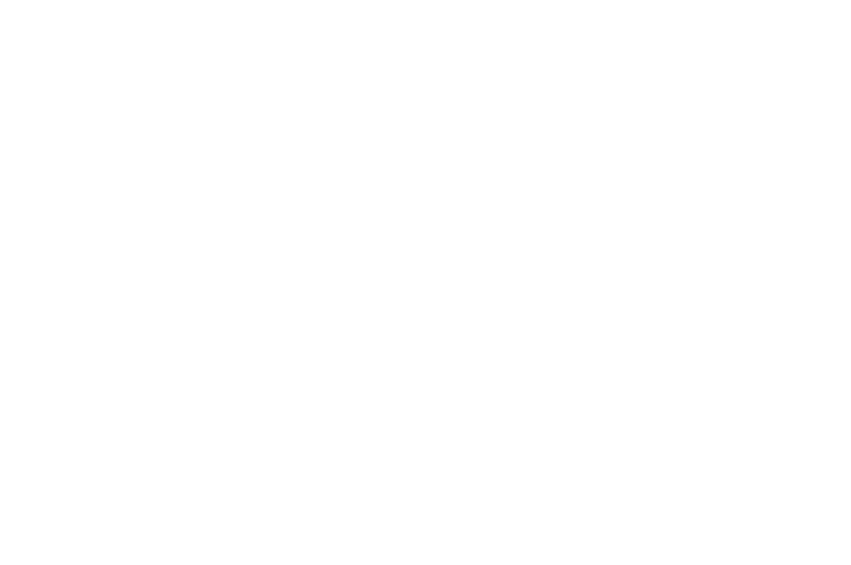 Elevation Indie Film Awards - 2017.png