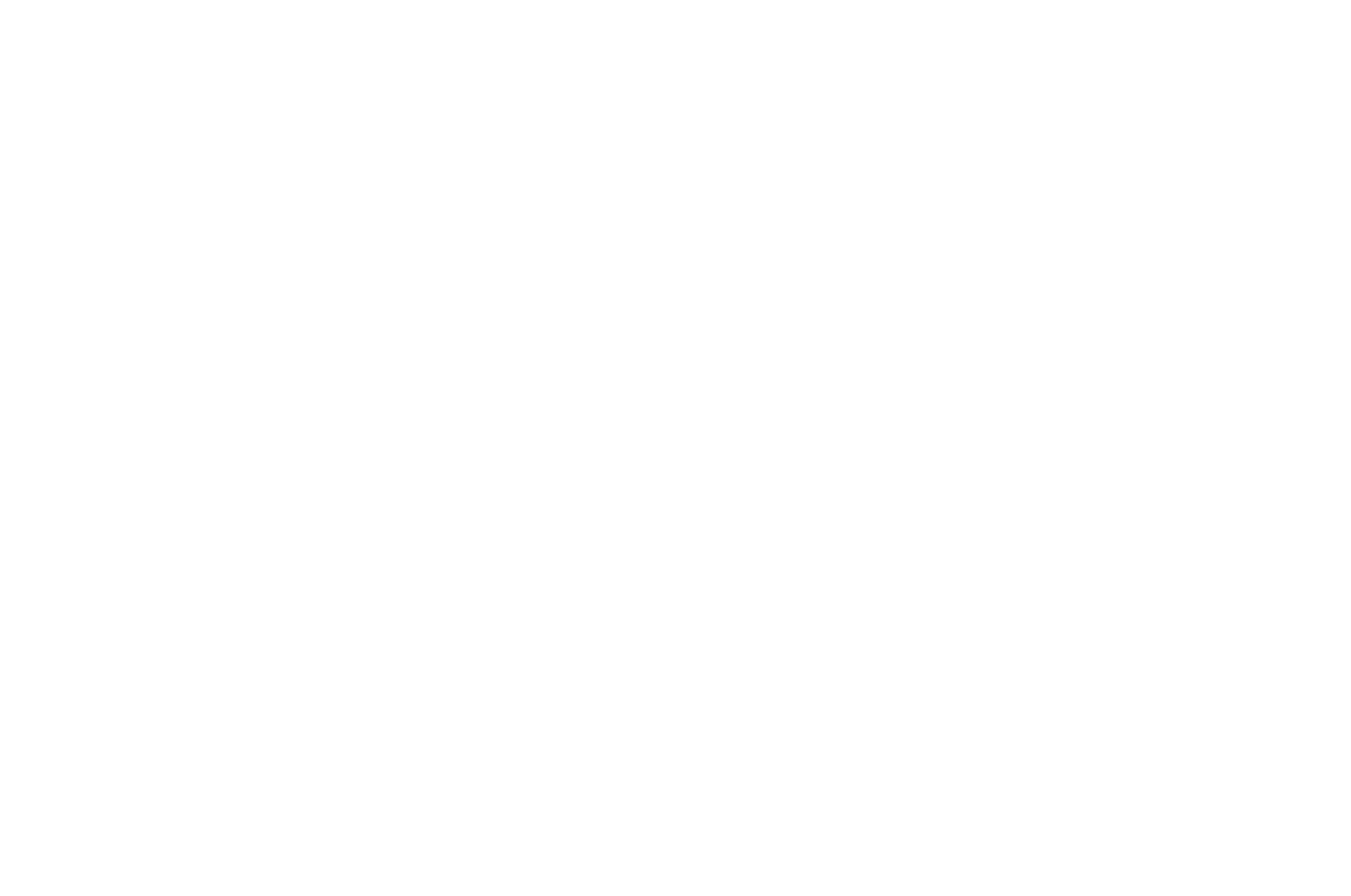 Syracuse International Spring Film Fest - 2017.png