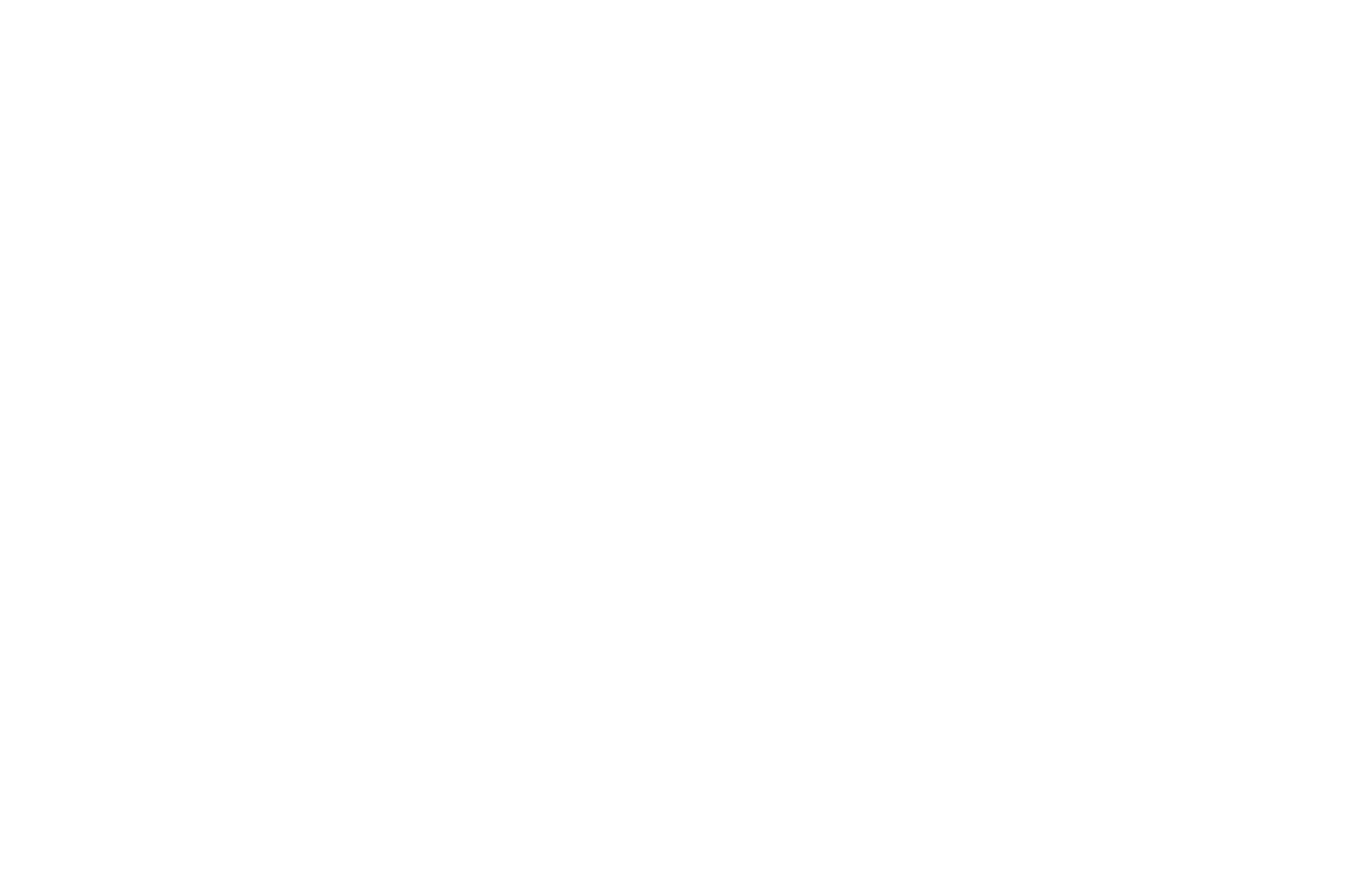 AUSTIN-INDIE-FEST-White-2017.png