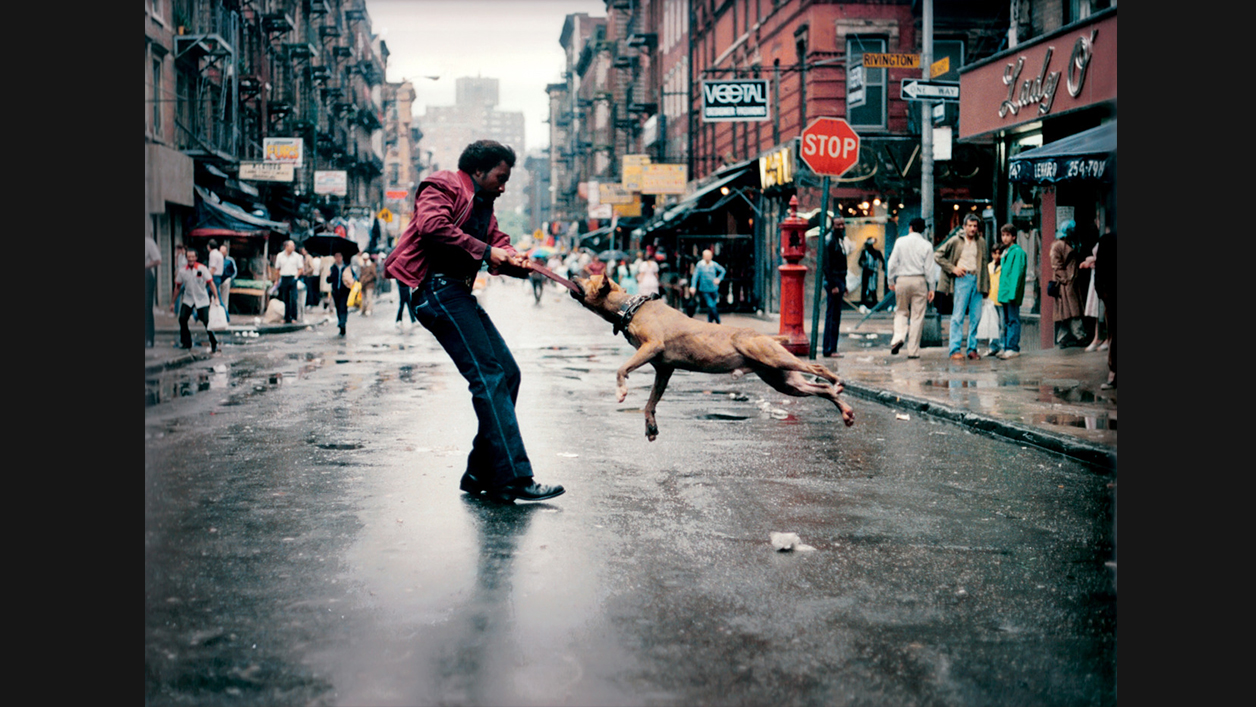 "His photographs' uncompromising, straight-ahead dignity...lingers long in the mind." — Ronnie Schieb, Variety