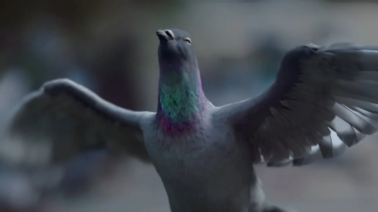 Recurring Dream Jet Blue