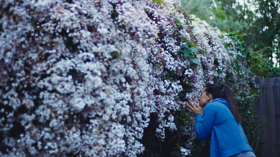 Screen Shot 2021-01-11 at 10.49.20 AM.png