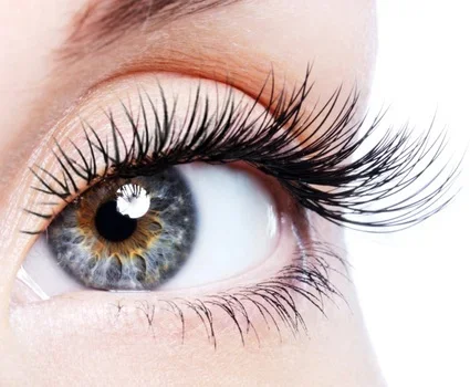 Close-up image of an eye with long eyelashes.