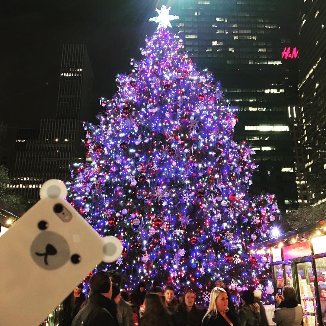 Countdown for Christmas begins ! 🎄🎄🎄 #anicase #december #shop #iphonecase #holidayshopping #giftsforchristmas #nyc #bryantparktree
