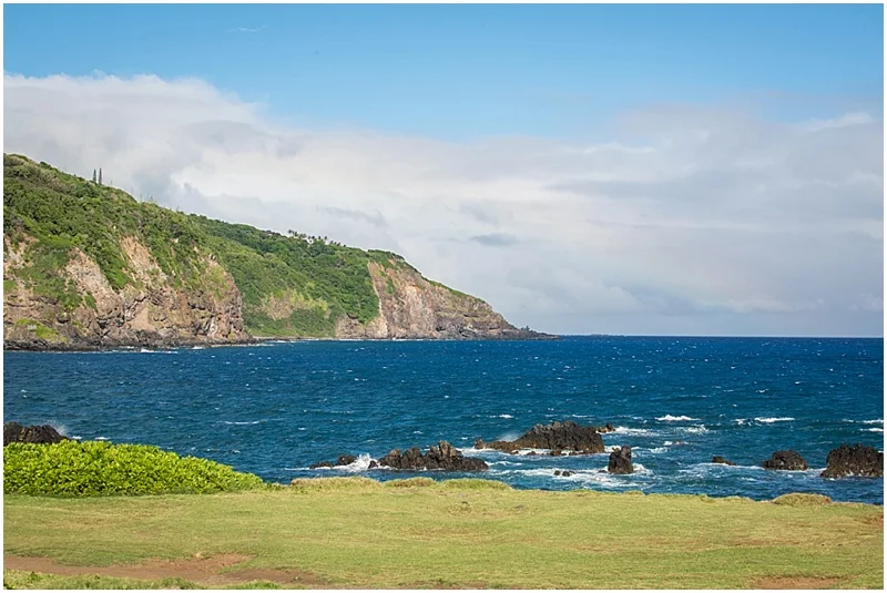 maui wedding_0008.jpg