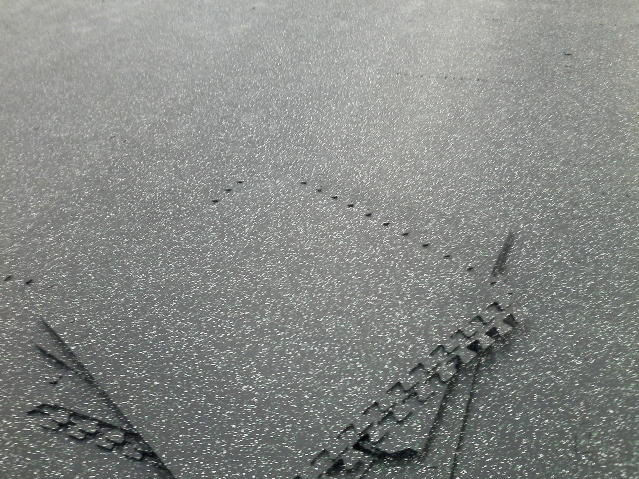 20140623_175945.jpg