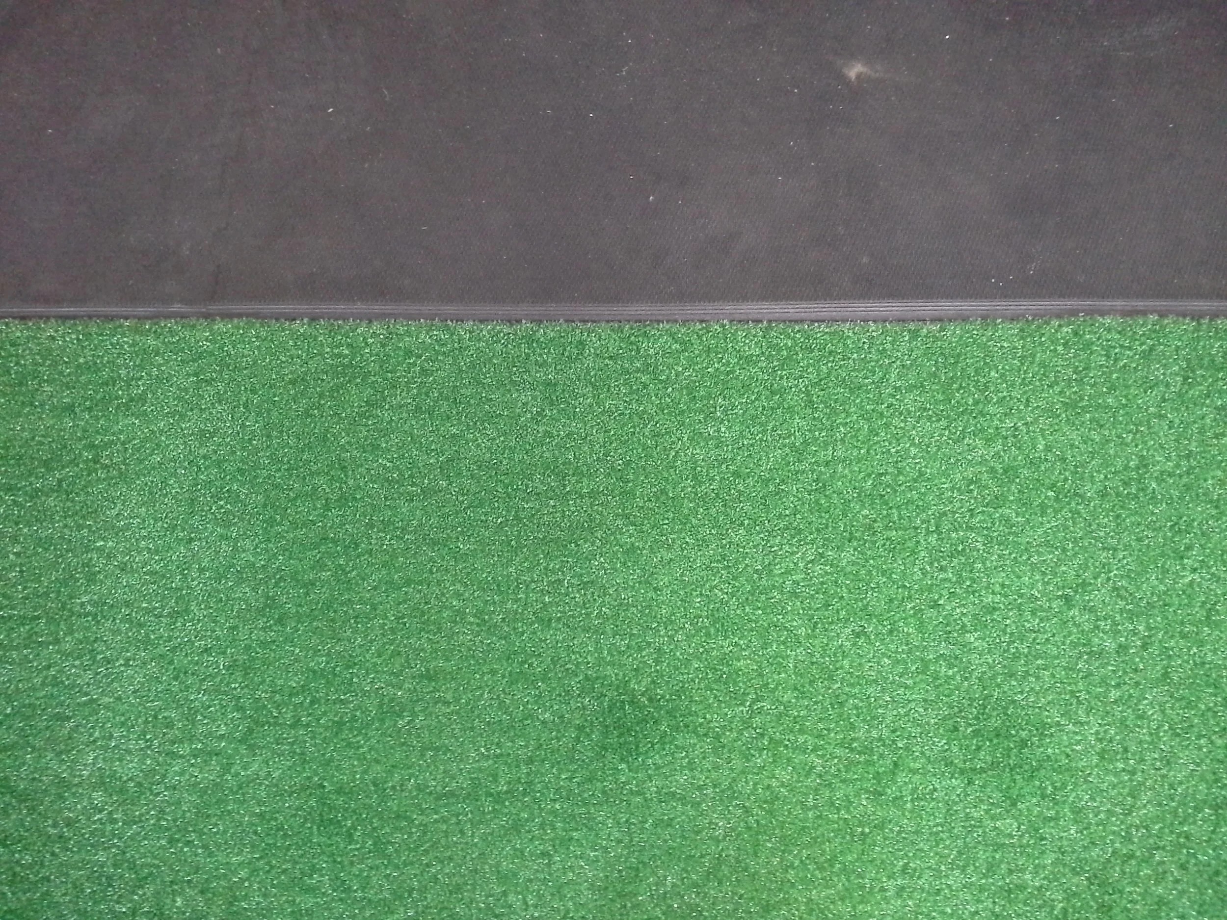 Turf2.jpg