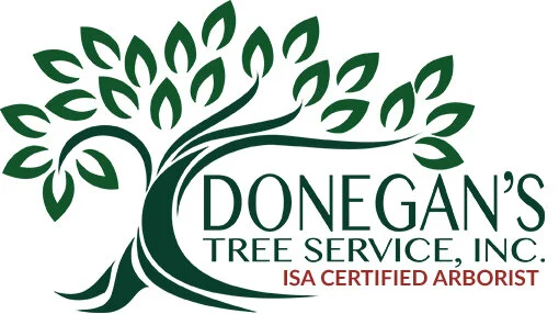 DONEGANS LOGO web only.jpg