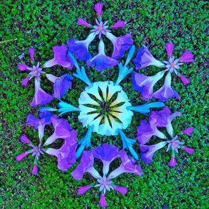 flower mandala 2.jpg