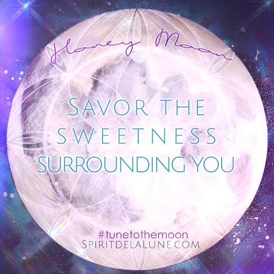 Spirit de la Lune Honey Moon in Sagittarius | Dandelion Divination Tea