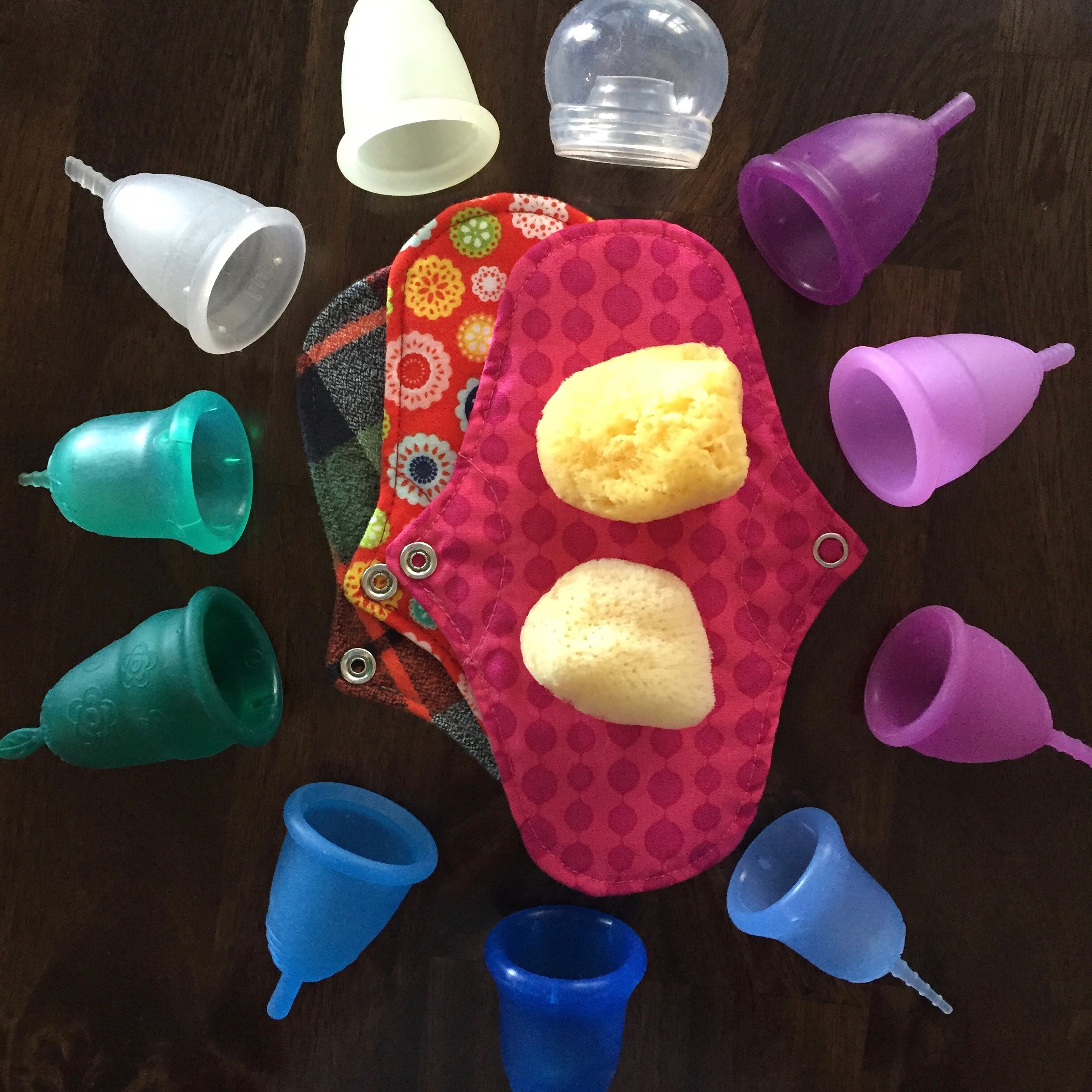 Holistic Moms Network - Chicago West