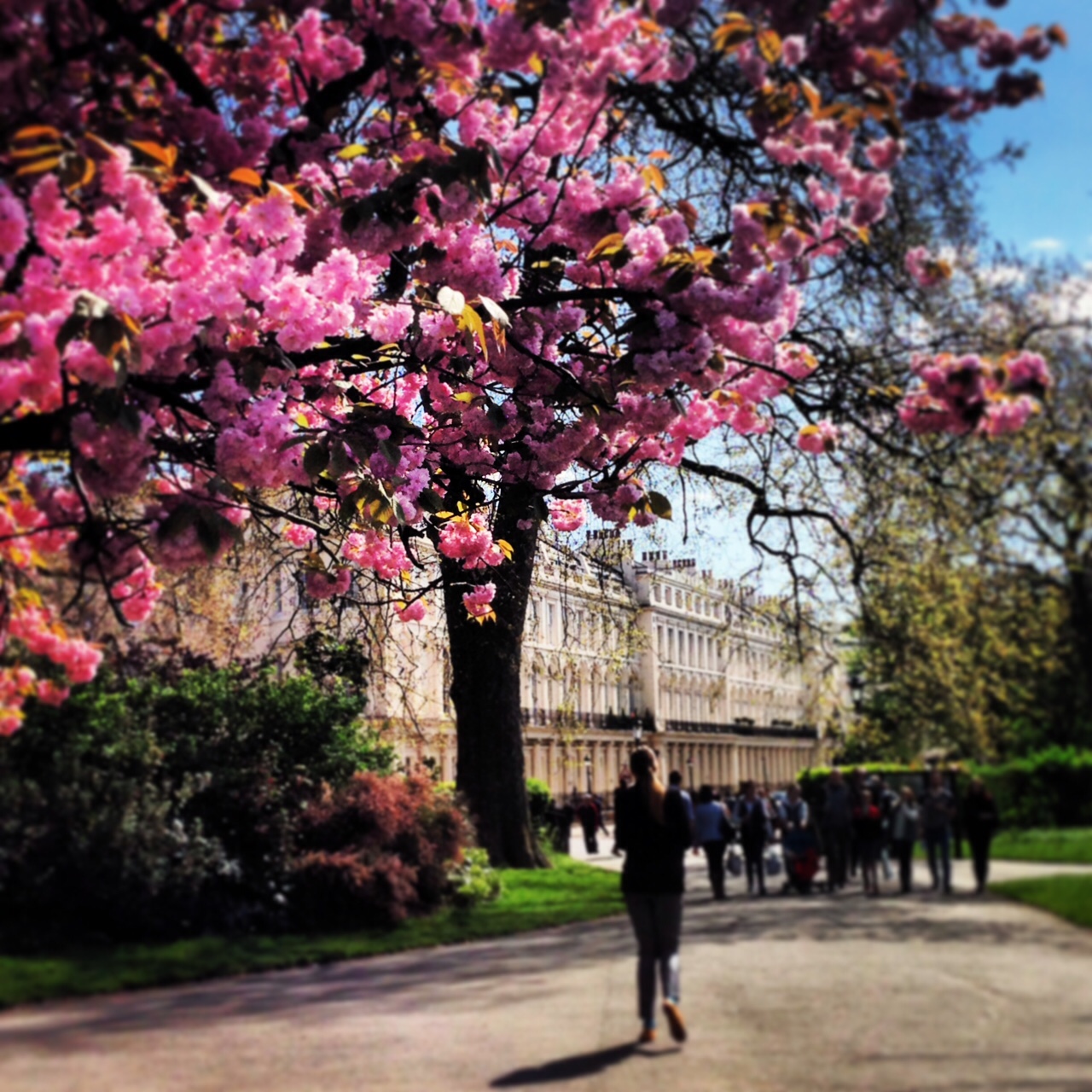 Regent's Park